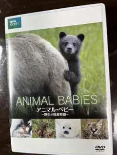 Item thumbnail for item 16dfa7f2-84b2-413b-afcb-7b4ce3200622