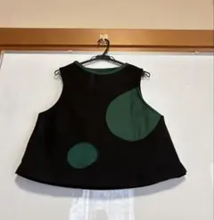 Item thumbnail for item a4010f81-90ff-4e50-82f1-c15c9d86f8ae