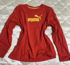 平成　PUMAロンT