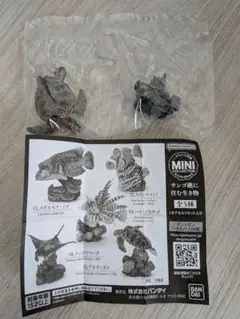 いきもの大図鑑 カプセルトイ