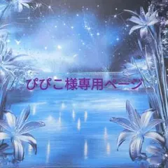 ぴぴこ様専用ページ2点セット　ピアス