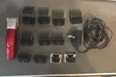 Item thumbnail for item c320e984-1921-4fbc-ab00-4dc10a75b372