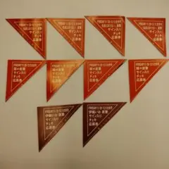 伊織いお 瑚々 名前はまだない。【チェキ応募券10枚】FRIDAY　フライデー