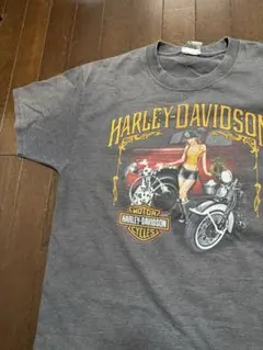 Harley-Davidson Tシャツ グレー UTICA NEW YORK