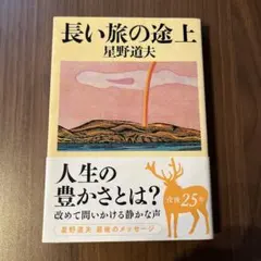 長い旅の途上