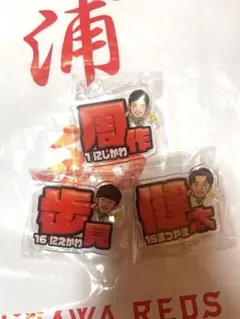 浦和レッズ 西川周作