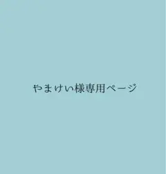 やまけい様専用ページ その他の方ご購入お控えください
