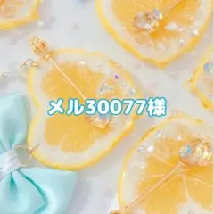 メル30077様 レジン ヘアゴム