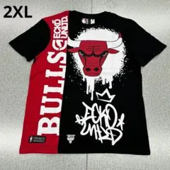NBA x ECKO UNLTD シカゴ ブルズ 半袖 Tシャツ