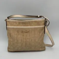 Item thumbnail for item f9a7e2bc-7069-47b5-844b-504a2e9e9930