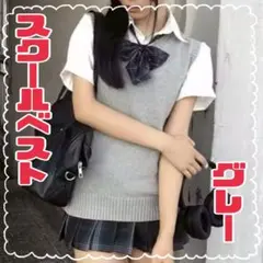 スクールベスト白