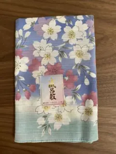 Item thumbnail for item 8157251d-e0bb-4f48-8198-d3aaee924734