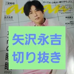 矢沢永吉 チバユウスケ 甲本ヒロト 切り抜き A4サイズ 矢沢永吉 切り抜き(ウッドフレーム付) タワレコロゴ無