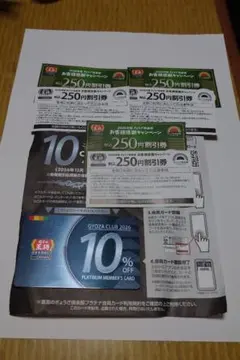 ぎょうざ倶楽部プラチナカード1枚　餃子の王将250円割引券6枚のサムネイル