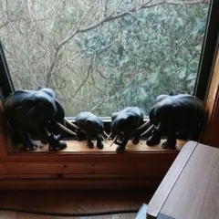 アニマルペット