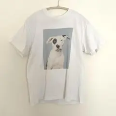 march april may ドッグTシャツ　myfool アンビデックスのサムネイル
