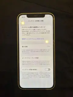 Apple iPhone 12 グリーン 75%バッテリー　値段交渉可
