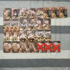 Item thumbnail for item 866ae956-da6f-46b3-9b68-4f41a5728647