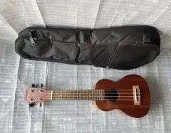 Item thumbnail for item a81aac34-7d19-49eb-89ab-f06d4c4398b4