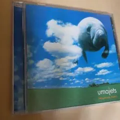 Item thumbnail for item 4187bb0a-f717-45e2-b269-7aaaddee5bf0