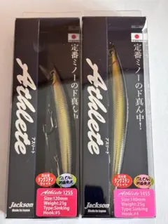 Item thumbnail for item 03064d41-4929-41a8-bad3-a81d9c4663d5