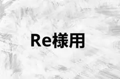 (Re様用)