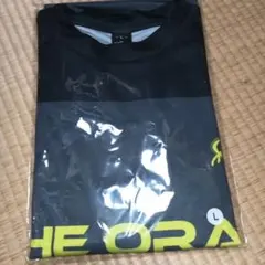 Item thumbnail for item 5b54a222-a22a-48d3-86c6-4075f4c682d7