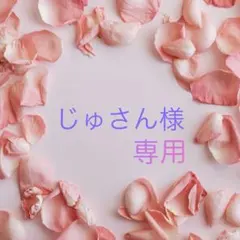 じゅさん様専用•*¨*•.¸♬︎