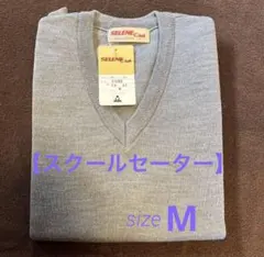 Item thumbnail for item 5a7b6117-2d96-4e0d-93c5-064ff89187f7