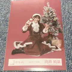 櫻坂46 生写真 2025年 サンタ衣装 向井純葉