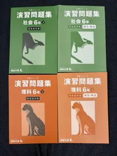 【有名校対策】 四谷大塚 予習シリーズ演習問題集（社会 理解）6年下 美品