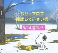 ちび⭐︎プロフ確認して下さい様 専用ページ