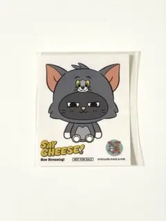 BOYNEXTDOOR テサン トムジェリ ステッカー