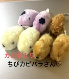 k*t様 【平成レトロ】カピバラさん ぬいぐるみ 特大セット まとめ売り 2026年最新】カピバラさん ぬいぐるみの人気アイテム - メルカリ