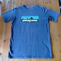 Patagonia Tシャツ　キッズ XXL 16-18のサムネイル