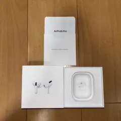 AirPods Pro 第一世代 / 右耳のみ