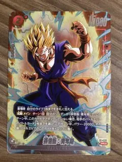 2026年最新】孫悟飯：青年期 パラレルの人気アイテム - メルカリ