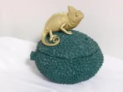 Colmore カメレオン デコボックス グリーン