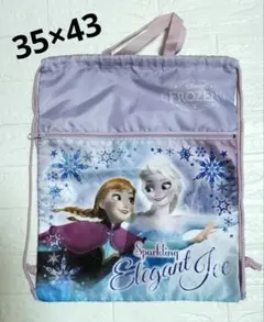 アナ雪　ナイロンバッグ　巾着袋　ディズニープリンセス　アナと雪の女王