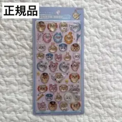 正規品　ちいかわ　みんなポーズ　ボンドロ　ハチワレ　うさぎ　ハチワレ　シーサー