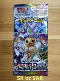 ポケモンカード　テラスタルフェスex
