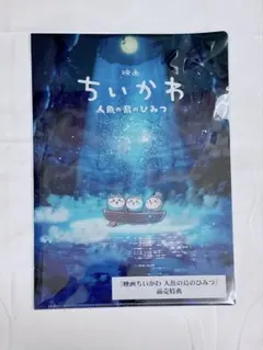 ミドリガメ様 リクエスト 2点 まとめ商品