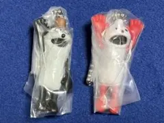 パペットスンスン　つまんでつなげてひょっこり！　ますこっと　ノンノン　ゾンゾン