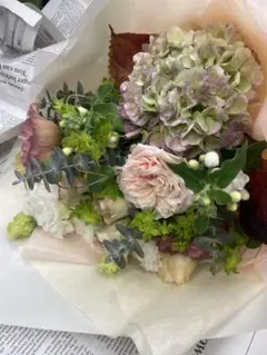 福岡県鬼木様の紫陽花☆ハイドランジア☆筑紫路風車☆4号鉢☆超希少☆1