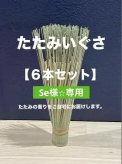 【Se様⭐︎専用】【特別価格】【いぐさ６本セット】畳おもて　インテリア