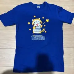 Item thumbnail for item 220d5fb4-fd8c-4e01-9353-46cf2e403727