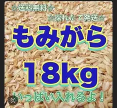 Item thumbnail for item 9c28b9ca-ff7c-4d7f-a31b-14ec835eecd8