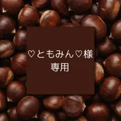 ♡ともみん♡さま専用