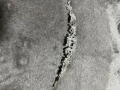 クリスタル蝶と花のカチューシャ飾り