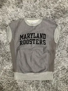 Item thumbnail for item 9e3675bd-c00b-4593-b675-44c8e901b465